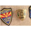Image 3 : Collection of (3) Framed Badges