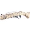 Image 4 : Ruger 10/22 'Take-Down' .22 LR #0002-75869