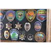 Image 3 : Arizona Badge Collection