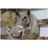 Image 1 : Warthog Mount