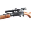 Image 4 : Remington 572 'Fieldmaster' .22 S/L/LR #1927211