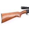 Image 6 : Remington 572 'Fieldmaster' .22 S/L/LR #1927211
