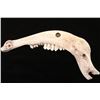 Image 2 : Painted Cow Jaw Bone