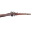 Image 11 : Springfield 1868 Trapdoor .50-70 Gov.