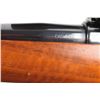 Image 6 : Zastava / Interarms Mark X .243 Win #B84840