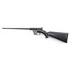 Image 2 : Henry U.S. Survival .22 LR #US74295