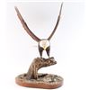 Image 3 : Fine Wood Carving