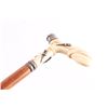 Image 4 : Antique Cane