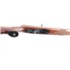 Image 8 : Ruger 10/22 'Canadian Centennial' .22 LR