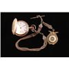 Image 1 : D. L. Anderson's Watch & Fob