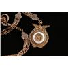 Image 2 : D. L. Anderson's Watch & Fob
