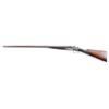 Image 5 : William Golden Hammer Gun 12 GA #24979