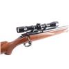 Image 7 : Kimber of Oregon Model 82 .22 LR #50635