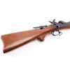 Image 11 : Pedersoli / Cabela's 1873 'Long Range' .45-70 Gov'