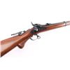Image 12 : Pedersoli / Cabela's 1873 'Long Range' .45-70 Gov'