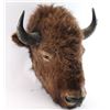 Image 2 : Shoulder Mounted Buffalo