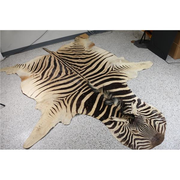Zebra Hide Rug