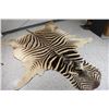 Image 1 : Zebra Hide Rug