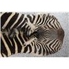 Image 2 : Zebra Hide Rug