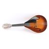 Image 1 : Early C.F. Martin & Co. Mandolin