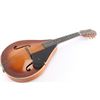 Image 3 : Early C.F. Martin & Co. Mandolin