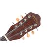 Image 5 : Early C.F. Martin & Co. Mandolin