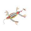 Image 2 : Navajo Lizard Fetish