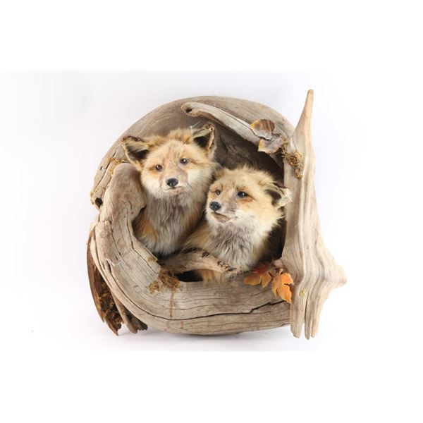 Double Fox Mount