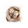 Image 2 : Double Fox Mount