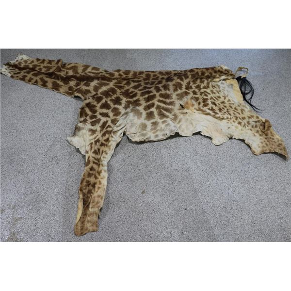 Giraffe Hide