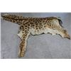 Image 1 : Giraffe Hide