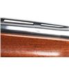 Image 6 : Remington 1100 12 Ga #N060065V
