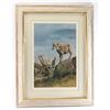 Image 1 : Fine Art Print
