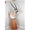 Image 1 : Painted Oryx Taxidermy Shoulder Mount