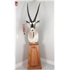 Image 2 : Painted Oryx Taxidermy Shoulder Mount