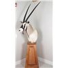 Image 3 : Painted Oryx Taxidermy Shoulder Mount