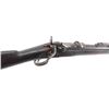 Image 7 : 13th NY Inf. Springfield 1888 Trapdoor .45-70