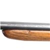 Image 5 : Winchester Model 74 .22 LR #233457A