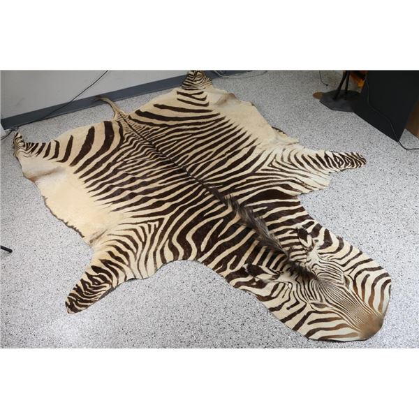 Zebra Hide Rug