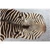 Image 3 : Zebra Hide Rug