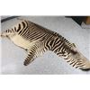 Image 5 : Zebra Hide Rug