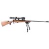 Image 1 : Cz 452-2e-zkm .17 Hmr #a297410
