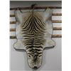 Image 2 : Large Zebra Rug