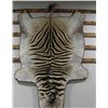 Image 3 : Large Zebra Rug