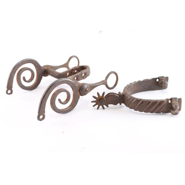 South American Snake Bit and Spur