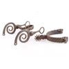 Image 1 : South American Snake Bit and Spur