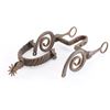 Image 3 : South American Snake Bit and Spur