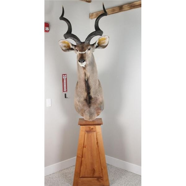 Greater Kudu Mount
