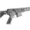 Image 6 : Palmetto State Armory PA-15 5.56mm #SCB362322