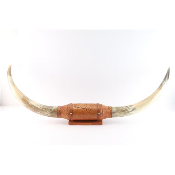 Mounted Longhorn